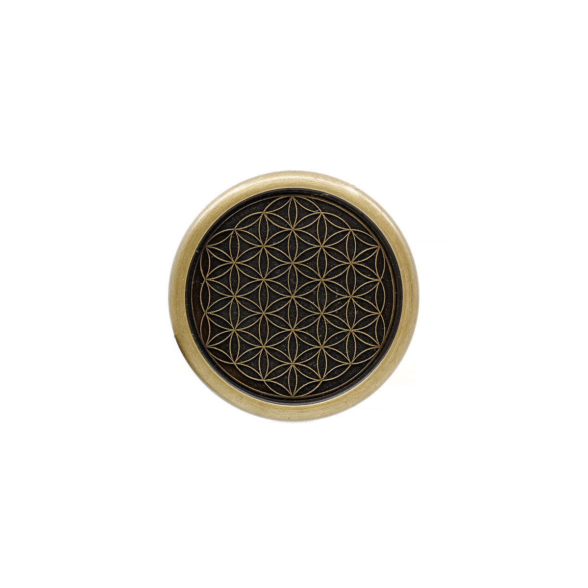 F.O.L. Spin Coin