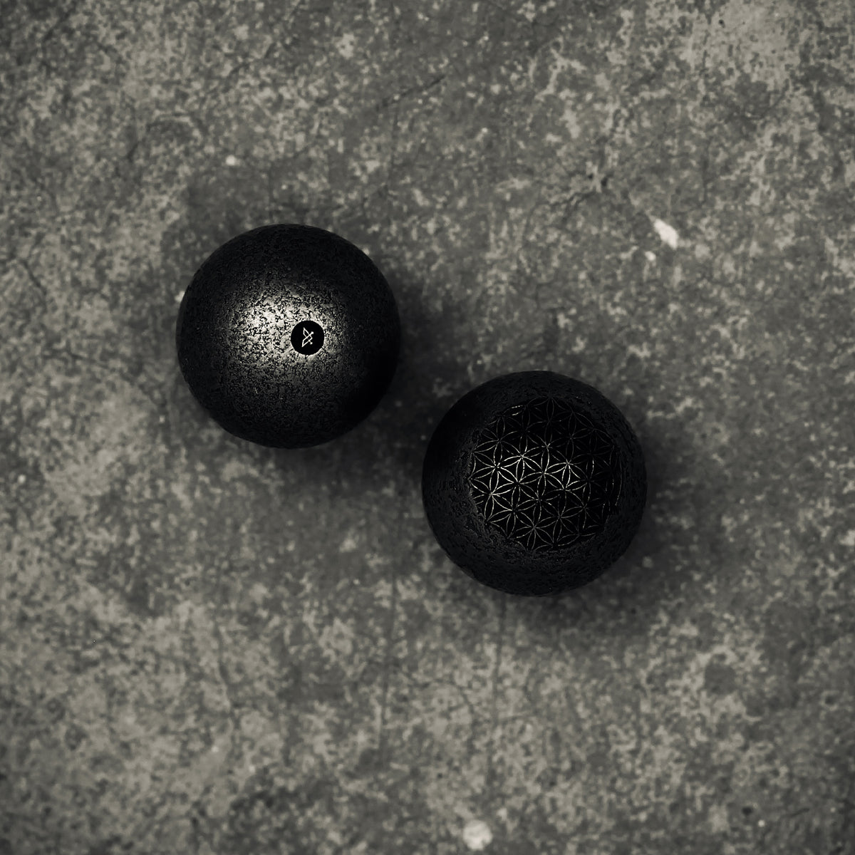 Meditation | FOL