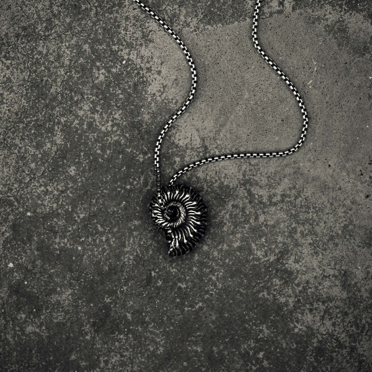 Pendere | Ammonite