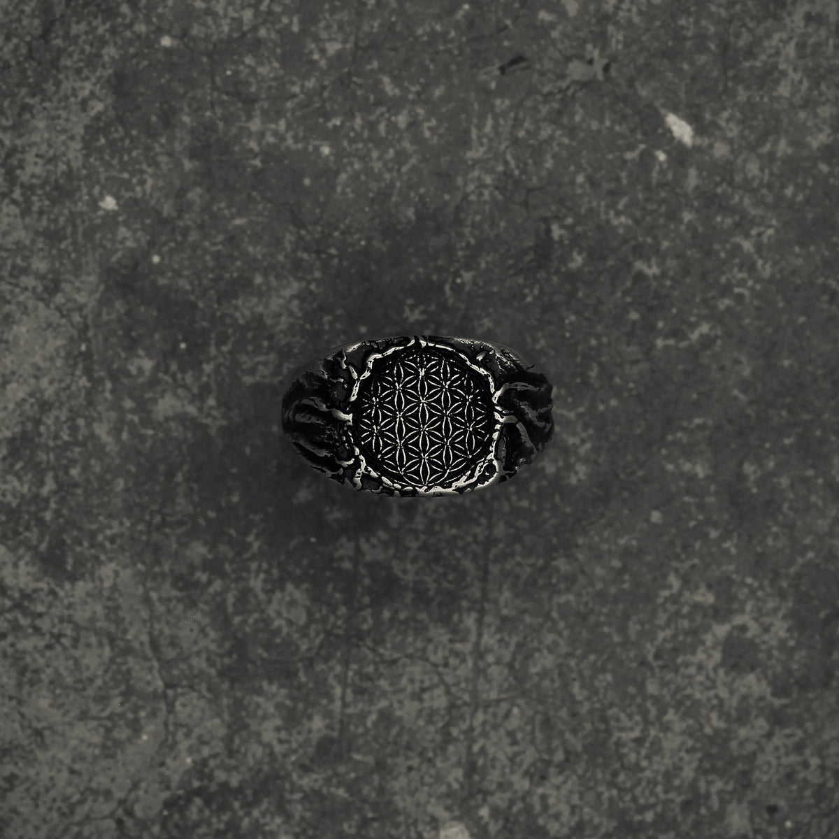 Signet | F.O.L.