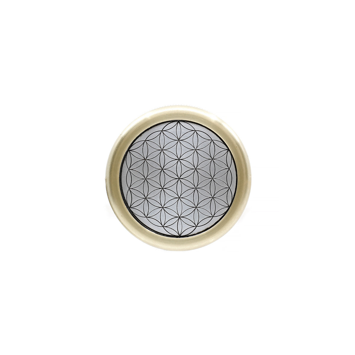 Worry Coin | Silver