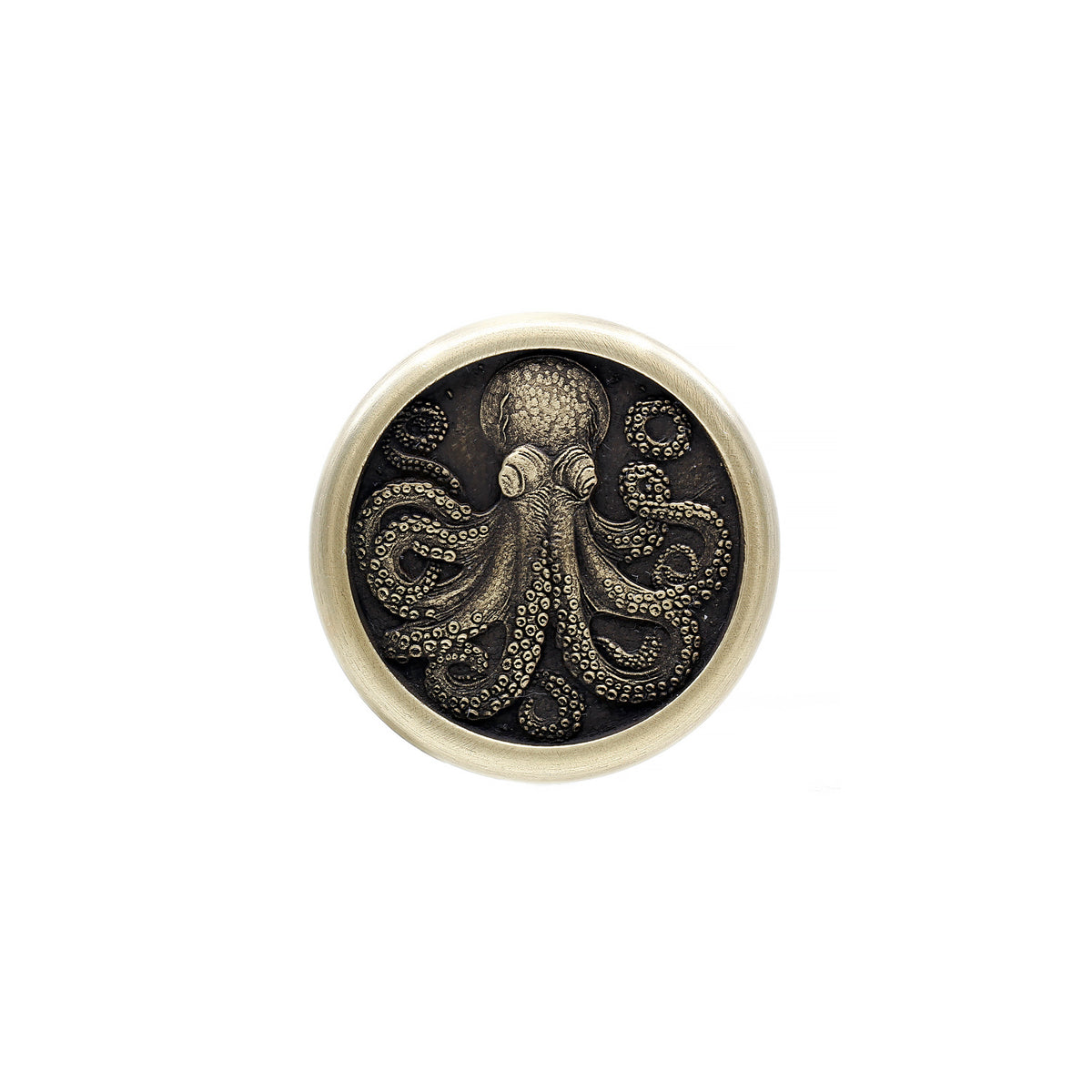 OctoWorry